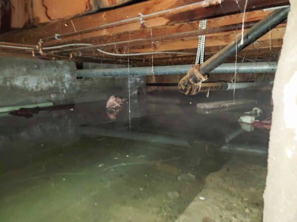 Best Water damage restoration near me  in Dewey, OK