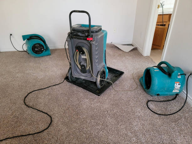 Best Water damage cleanup near me  in Dewey, OK