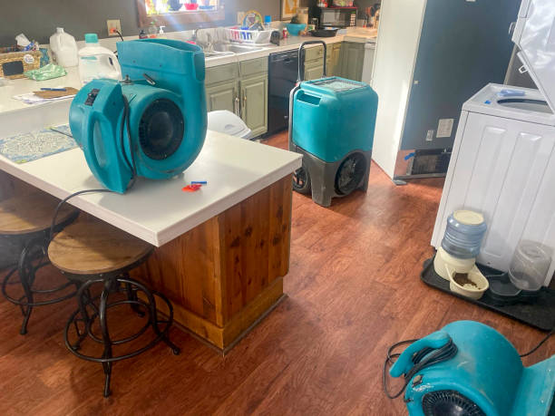 Best Flood damage cleanup  in Dewey, OK