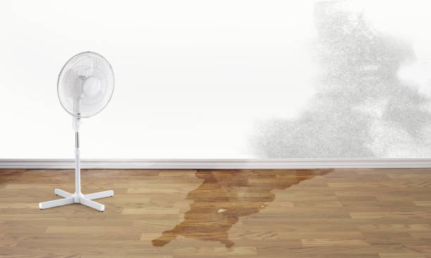 Best Mold removal after water damage  in Dewey, OK