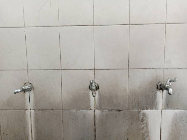 Best Carpet water damage restoration  in Dewey, OK