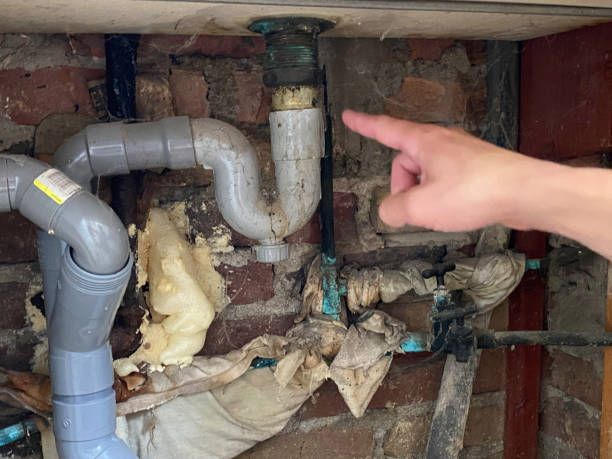 Best Professional water damage repair  in Dewey, OK