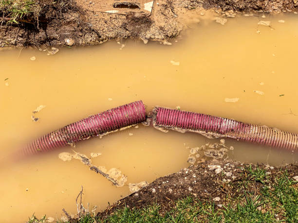 Best Water damage restoration specialists  in Dewey, OK