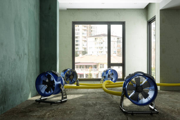 Best Water damage restoration insurance claims  in Dewey, OK